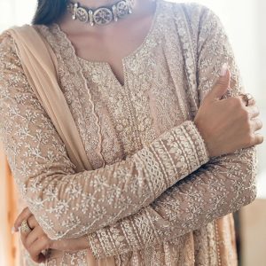 Luxury Semi-Pure Chiffon with Elegant Embroidery