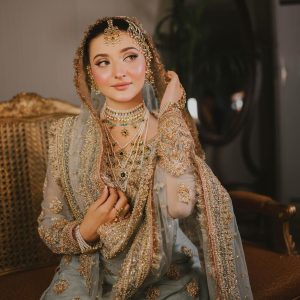 Stuff Soft Organza & Shamos Silk Full Embroidered Front & Back